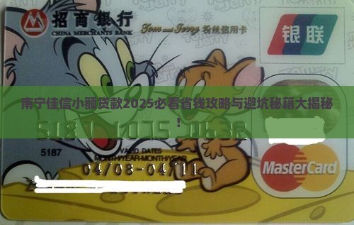 南宁佳信小额贷款