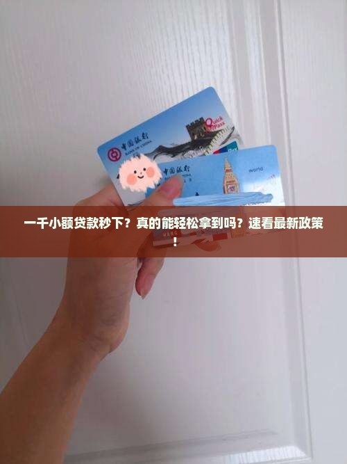 一千小额贷款秒下