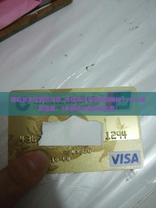 微粒贷失信能否贷款
