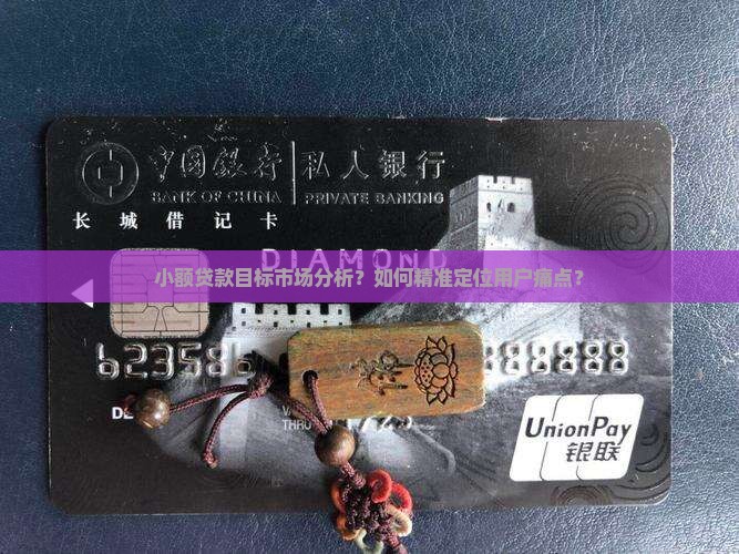 小额贷款目标市场分析