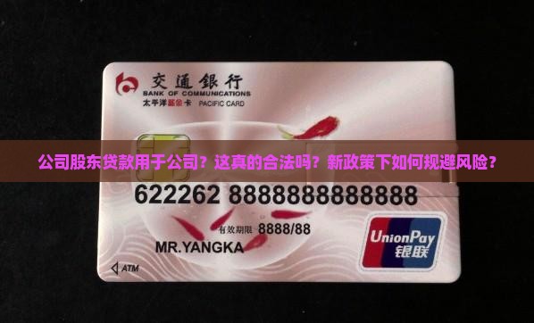 公司股东贷款用于公司