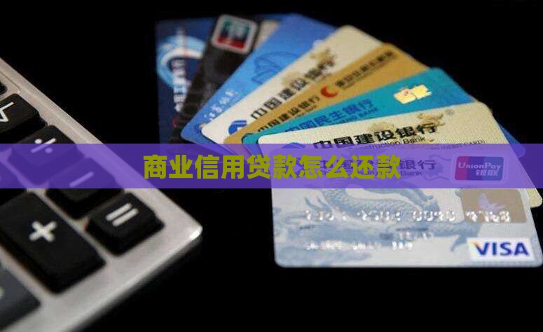 商业信用贷款怎么还款