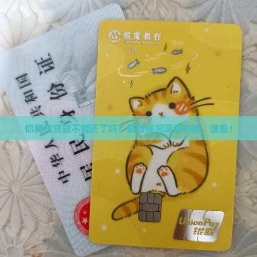 你我贷贷款不能还了吗