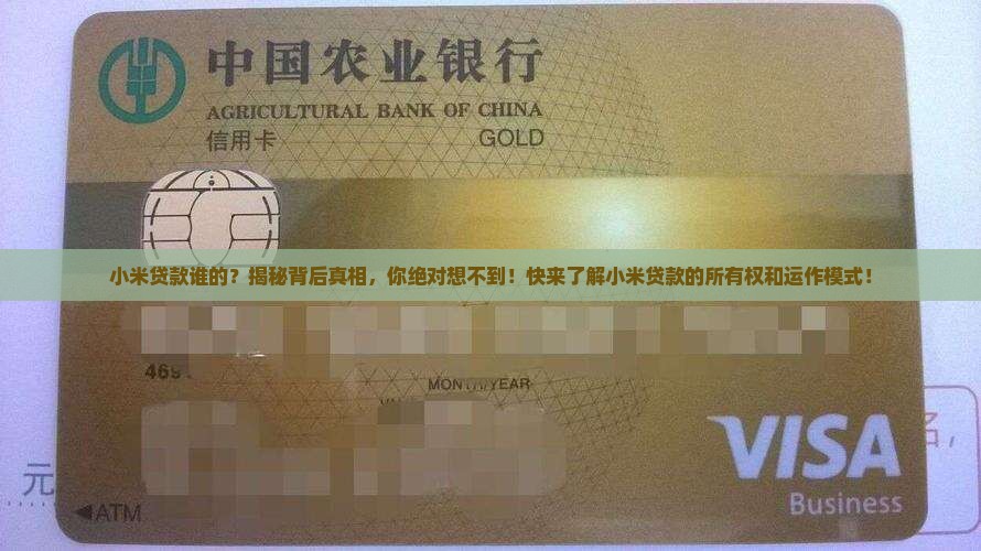 小米贷款谁的