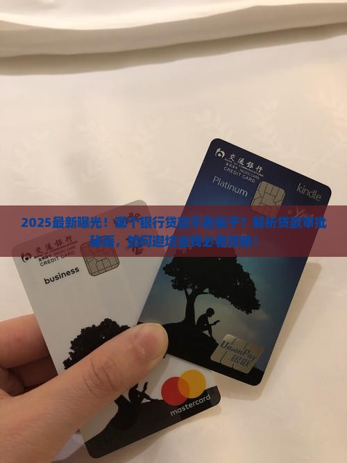 哪个银行贷款不看案子