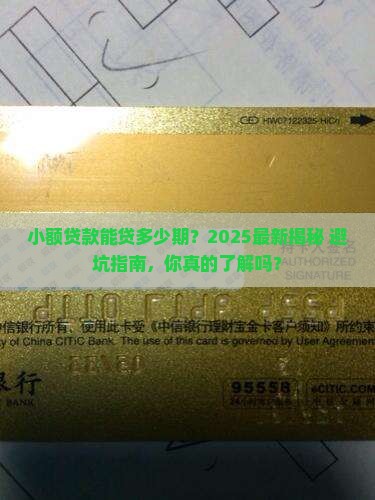 小额贷款可以贷多少期