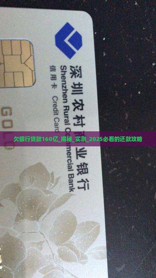 欠银行贷款160亿