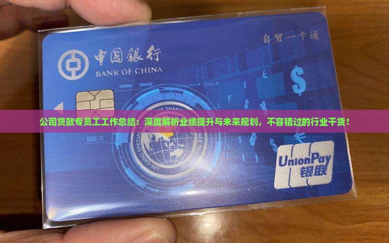 公司贷款专员工工作总结
