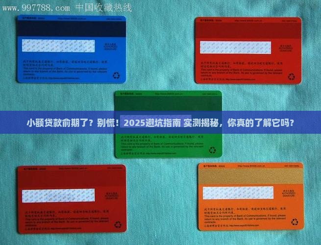 小额贷款俞期了