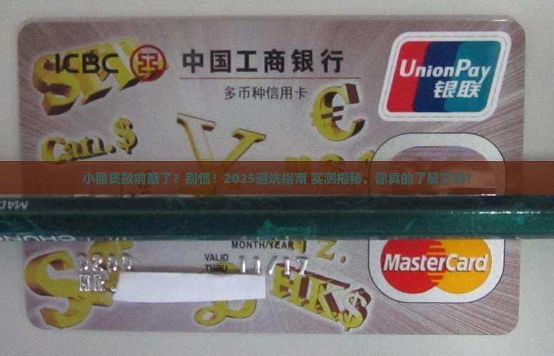 小额贷款俞期了