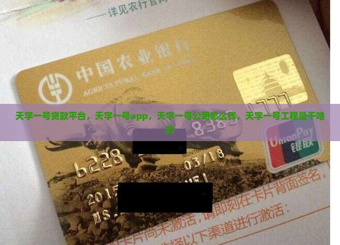天字一号贷款平台