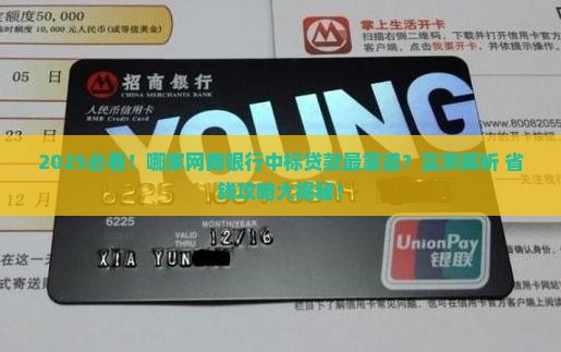 哪家网商银行做中标贷款