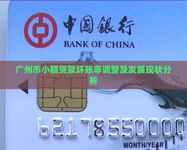 广州市小额贷款坏账率