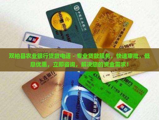 双柏县农业银行贷款电话
