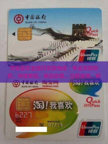 双柏县农业银行贷款电话