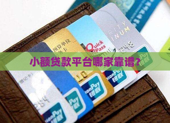 小额贷款平台哪家靠谱