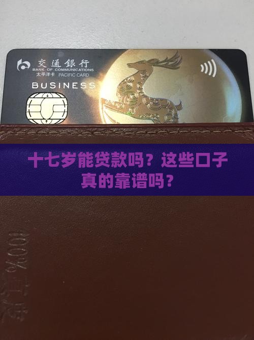十七岁可以贷款的口子