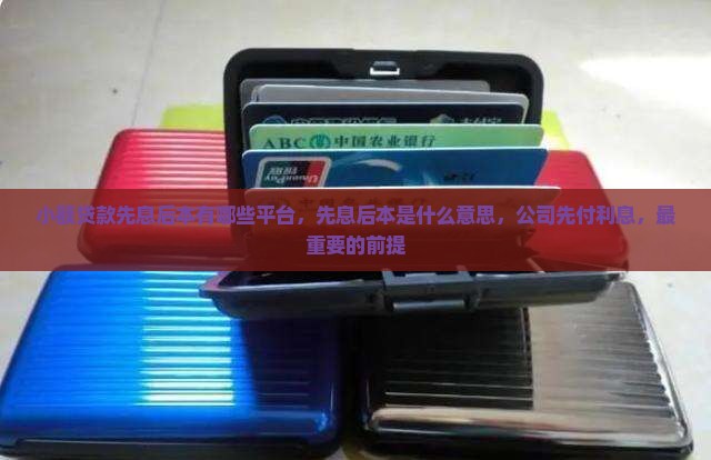 小额贷款先息后本有哪些