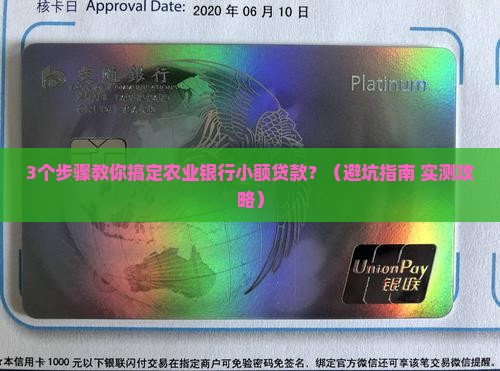 农业银行做小额贷款吗
