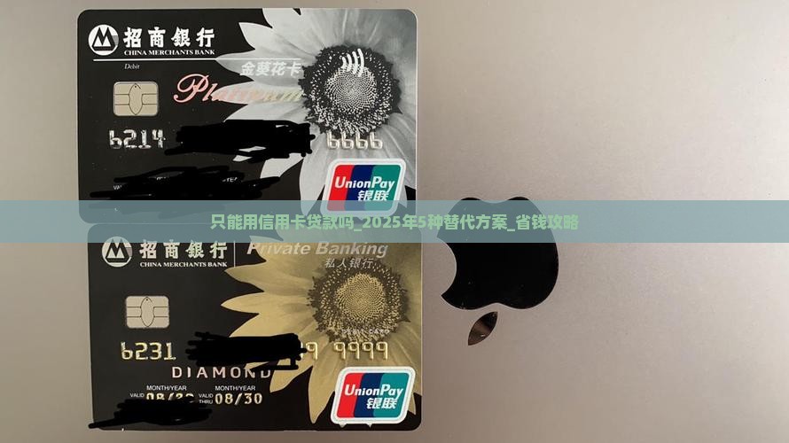 只能用信用卡贷款吗
