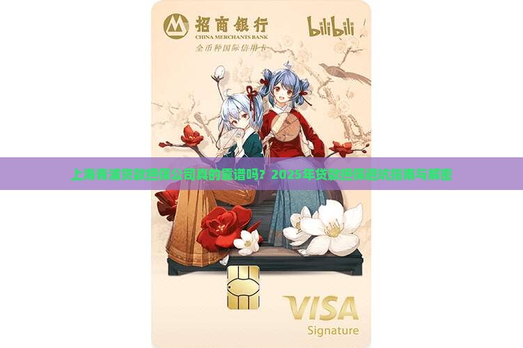 上海青浦贷款担保公司