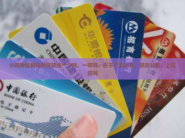 小花钱包和榕树贷款