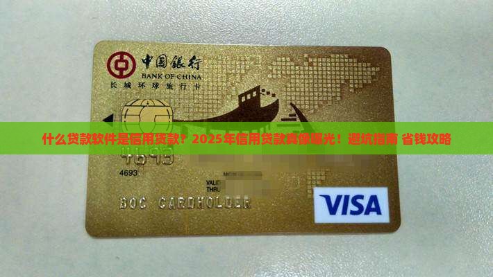 什么贷款软件是信用贷款