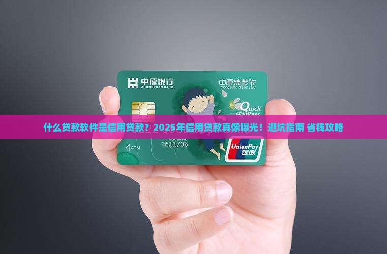 什么贷款软件是信用贷款