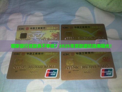 什么银行贷款没有审核