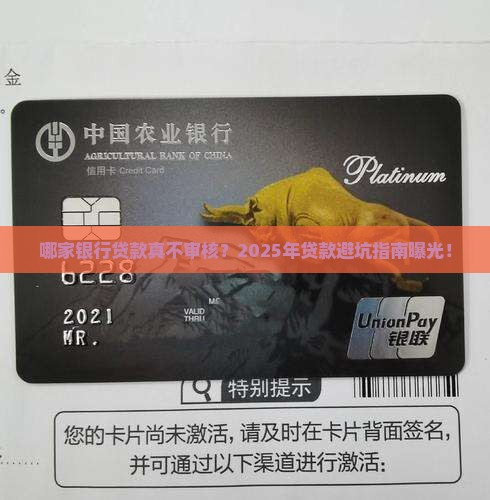 什么银行贷款没有审核