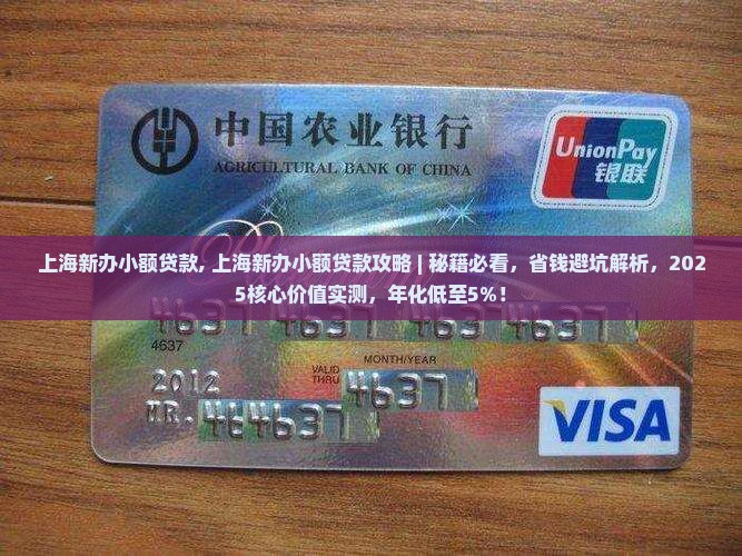 上海新办小额贷款