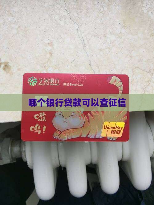 什么银行贷款可以查征信