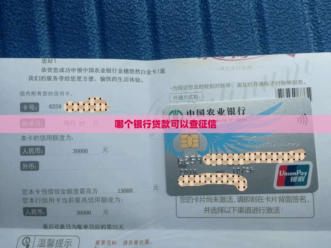 什么银行贷款可以查征信