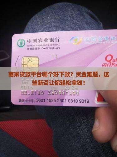 商家贷款平台哪个好下款