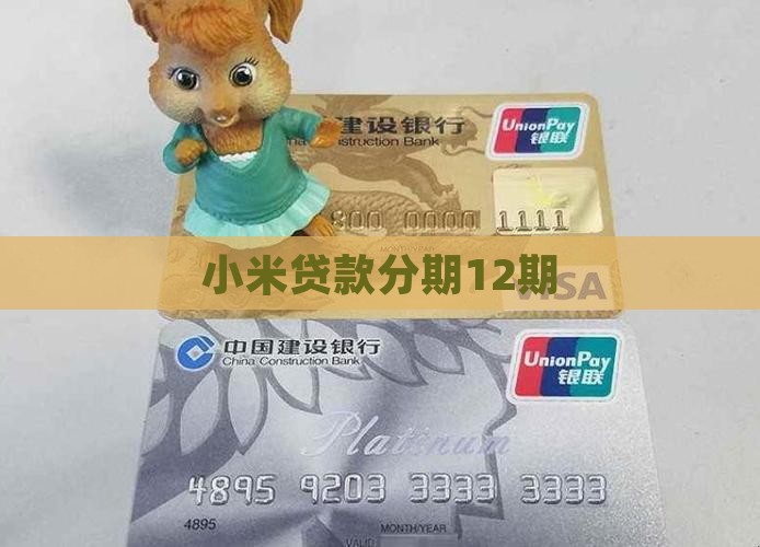 小米贷款分12期