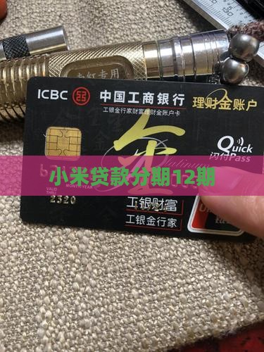 小米贷款分12期