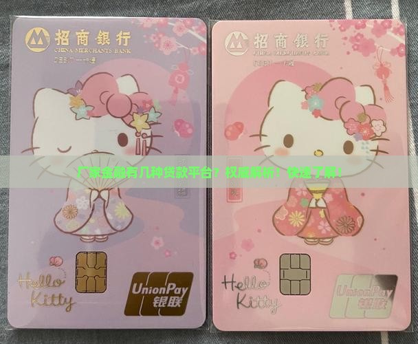 厂家金融有几种贷款平台