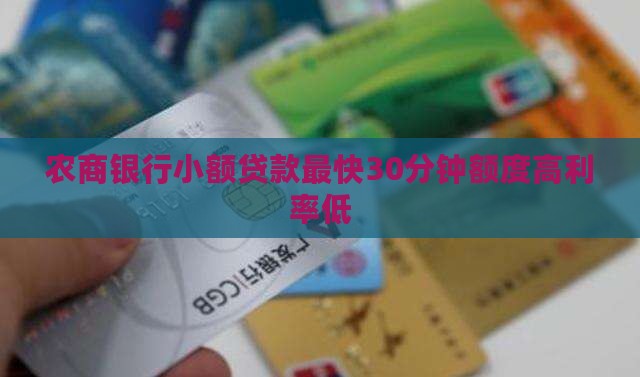 农商银行普惠小额贷款