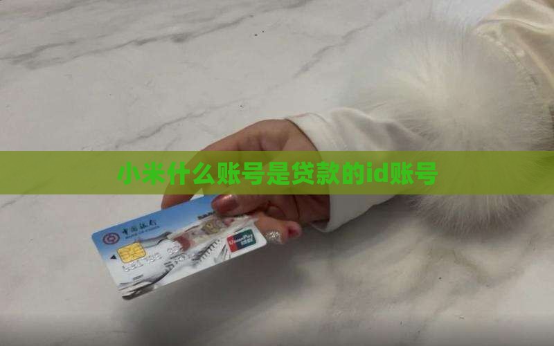 小米贷款的id账号是什么样子的