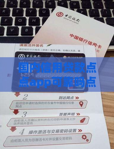 国内信用贷款点点app
