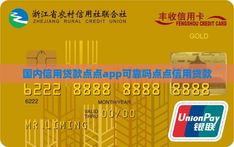 国内信用贷款点点app