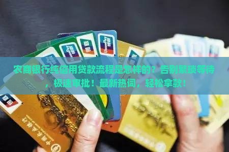 农商银行纯信用贷款流程