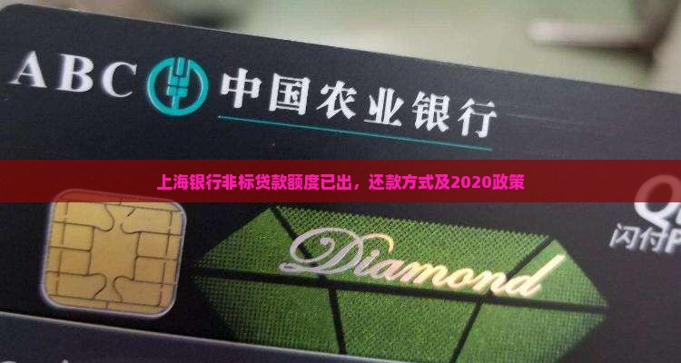 上海银行非标贷款