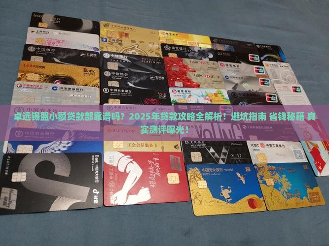 卓远普惠锡盟小额贷款部