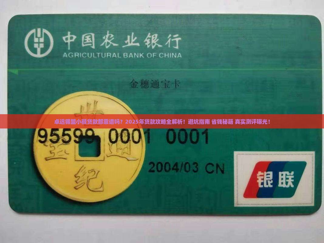 卓远普惠锡盟小额贷款部