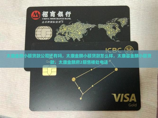 太康金麟小额贷款