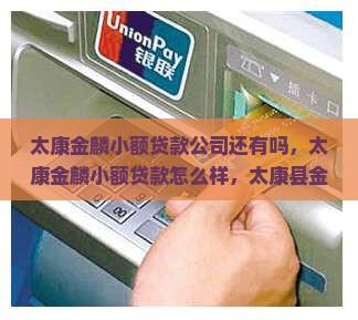 太康金麟小额贷款