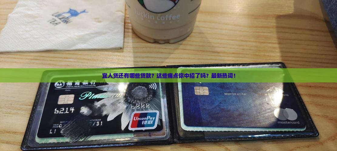 宜人贷还有哪些贷款