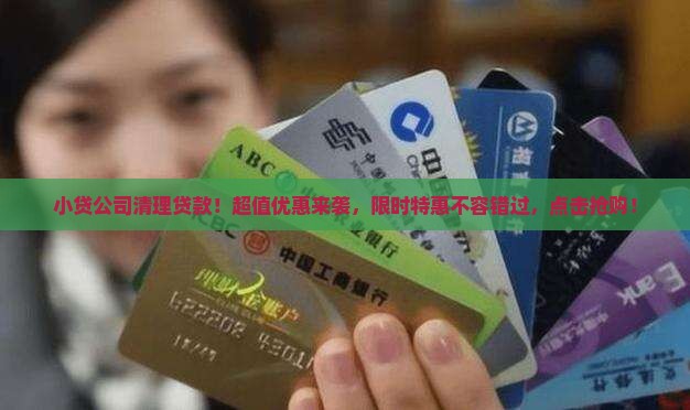 小贷公司清理贷款