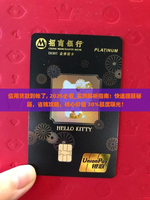 信用贷款到帐了